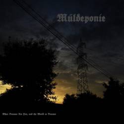 Müldeponie : When Dreams Are Fire, and the World Is Dreams